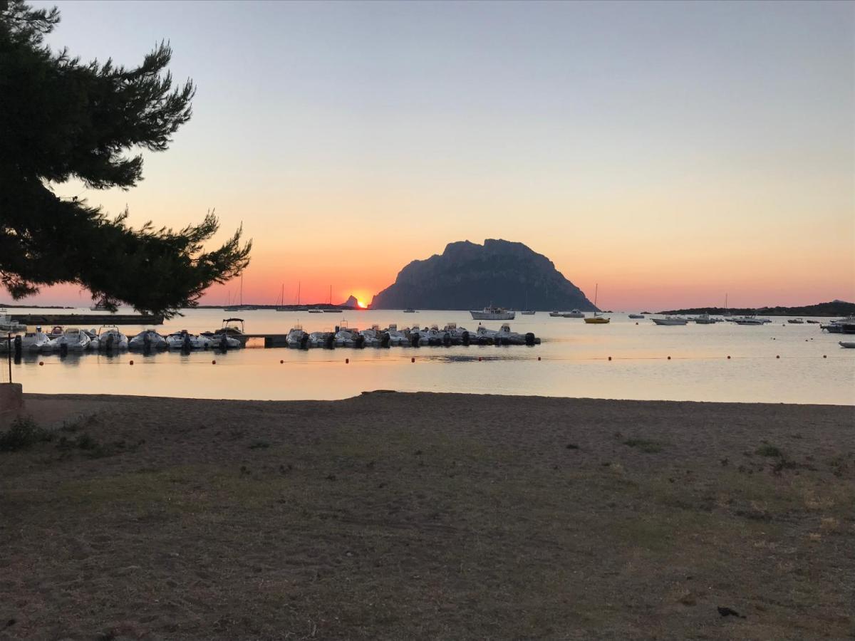 Tavolara Paradise Home Porto San Paolo  Εξωτερικό φωτογραφία