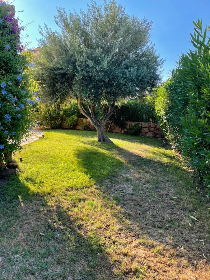 Tavolara Paradise Home Porto San Paolo  Εξωτερικό φωτογραφία