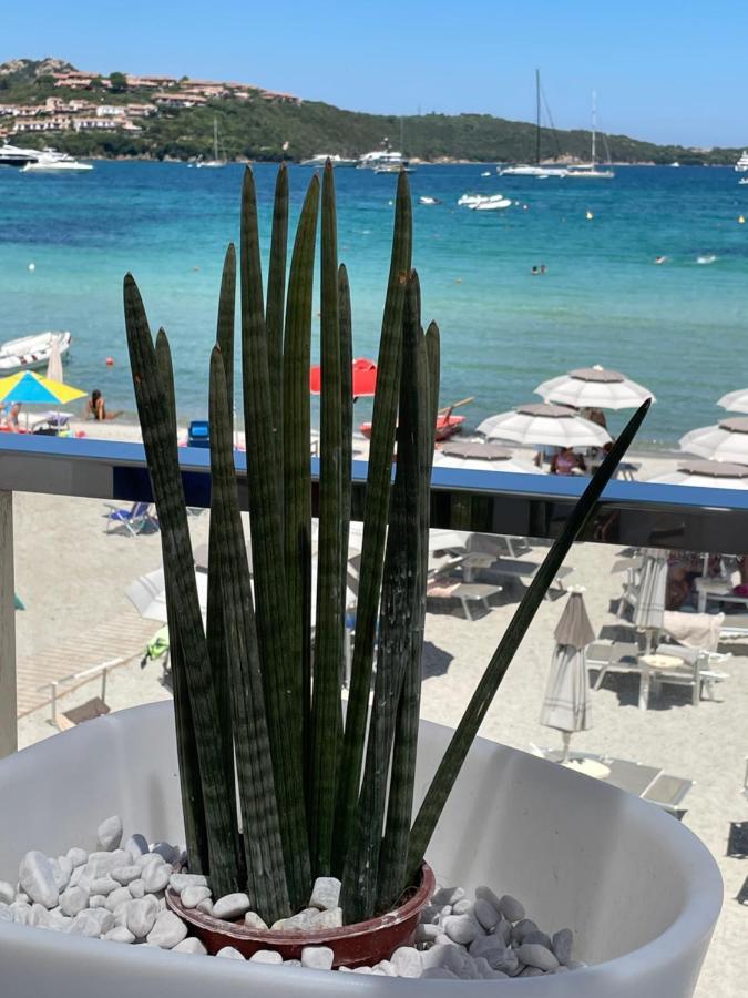 Tavolara Paradise Home Porto San Paolo  Εξωτερικό φωτογραφία