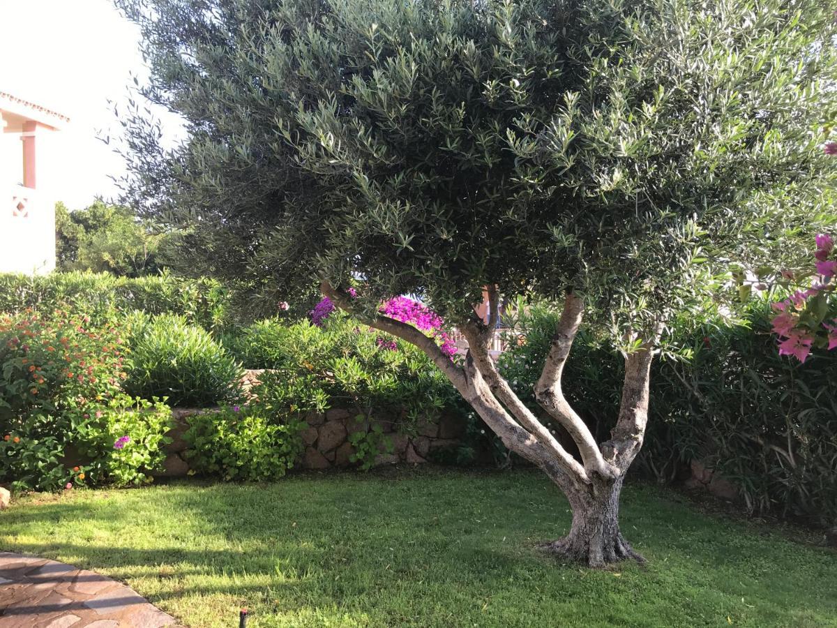 Tavolara Paradise Home Porto San Paolo  Εξωτερικό φωτογραφία